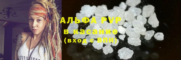 PSILOCYBIN Белокуриха