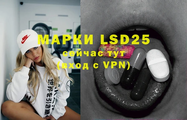 PSILOCYBIN Белокуриха