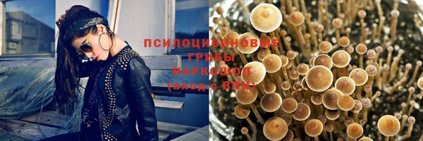 бошки Беломорск