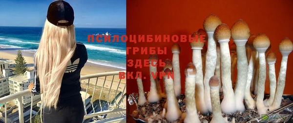 метадон Белоозёрский